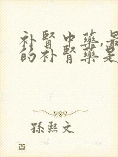 补肾中药,最好的补肾药是什么??