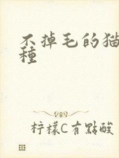 不掉毛的猫咪品种