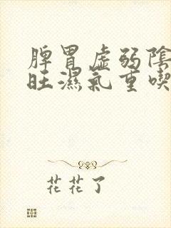 脾胃虚弱阴虚火旺湿气重吃什么药