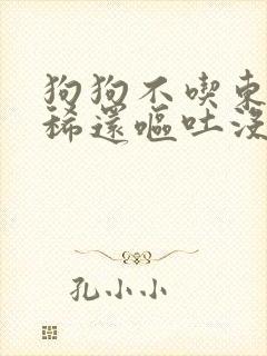 狗狗不吃东西拉稀还呕吐没精神怎么办