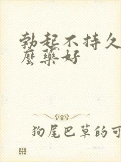 勃起不持久吃什么药好