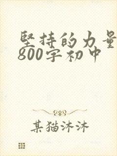 坚持的力量作文800字初中