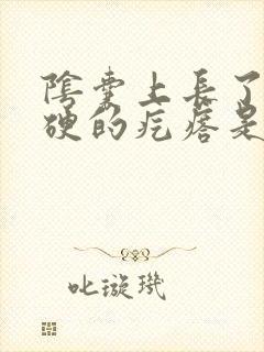 阴囊上长了个硬硬的疙瘩是怎么回事