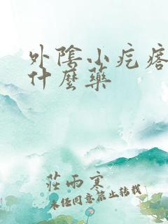 外阴小疙瘩痒抹什么药