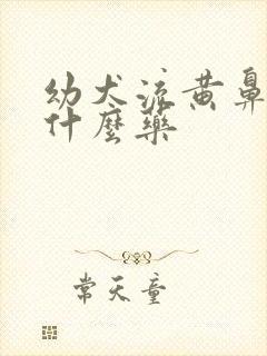 幼犬流黄鼻涕用什么药