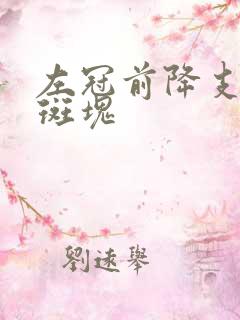 左冠前降支钙化斑块