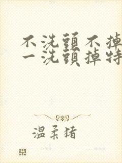 不洗头不掉头发一洗头掉特别多