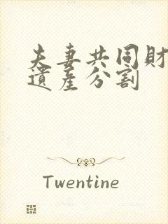 夫妻共同财产 遗产分割