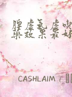 脾虚气虚吃什么药效果最好