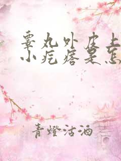 睾丸外皮上有个小疙瘩是怎么回事