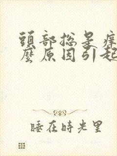 头部总是痒是什么原因引起的