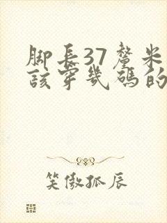 脚长37厘米应该穿几码的鞋