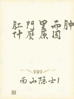 肛门里面肿痛是什么原因