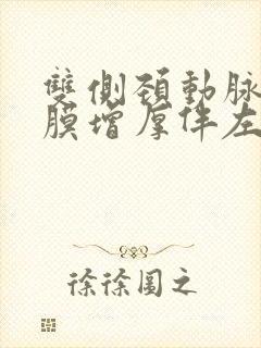 双侧颈动脉内中膜增厚伴左侧斑块形成