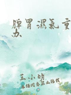 脾胃湿气重怎样办