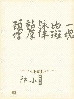 颈动脉内一中膜增厚伴斑块