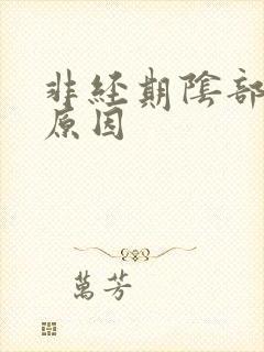 非经期阴部出血原因