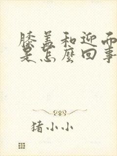 膝盖和迎面骨疼是怎么回事