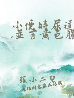 小便时尿道刺痛,并有黄色脓状液体流出