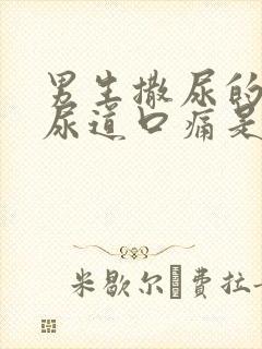 男生撒尿的时候尿道口痛是什么原因