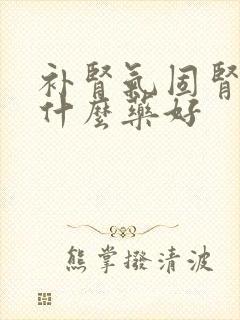 补肾气固肾精吃什么药好