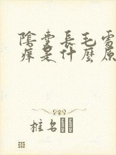 阴囊长毛处特别痒是什么原因?