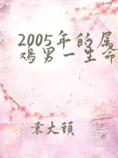 2005年的属鸡男一生命运