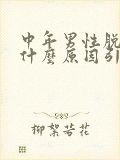 中年男性脱发是什么原因引起的