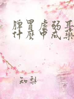 脾胃虚弱耳鸣吃什么中成药