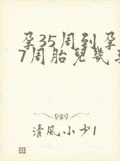 孕35周到孕37周胎儿几乎没长