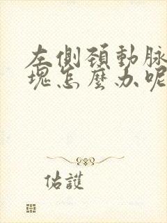 左侧颈动脉有斑块怎么办呢