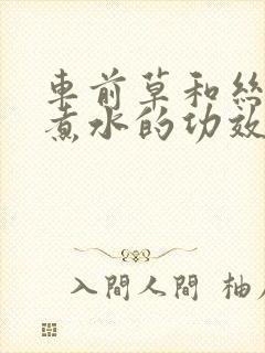 车前草和丝瓜络煮水的功效