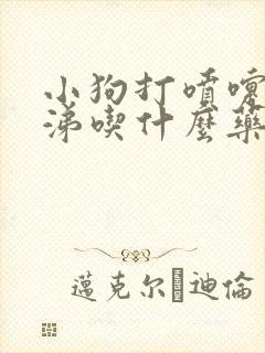 小狗打喷嚏流鼻涕吃什么药效果好