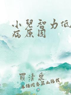 小儿智力低的发病原因