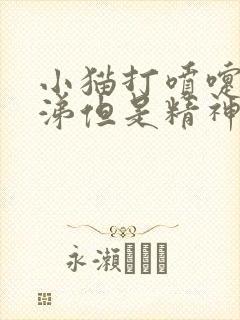 小猫打喷嚏流鼻涕但是精神好