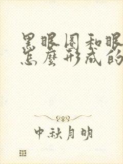 黑眼圈和眼袋是怎么形成的