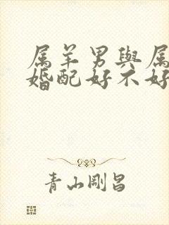 属羊男与属猪女婚配好不好