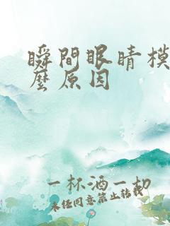 瞬间眼睛模糊什么原因