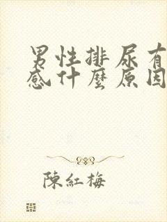 男性排尿有刺痛感什么原因