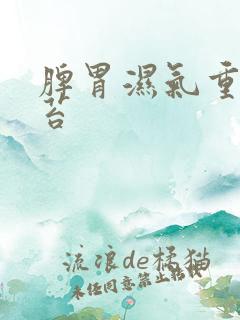 脾胃湿气重的舌苔