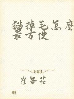 猫掉毛怎么处理最方便