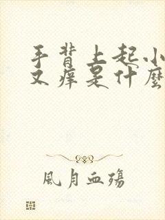 手背上起小疙瘩又痒是什么原因