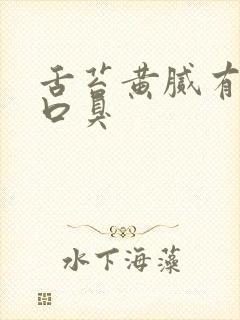 舌苔黄腻有齿痕口臭