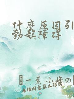 什么原因引起的勃起障碍