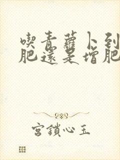 吃青萝卜到底减肥还是增肥