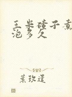 玉米碴子煮饭要泡多久