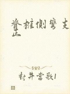 脊椎侧弯支具纠正