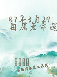 87年3月29日属兔命运怎么样