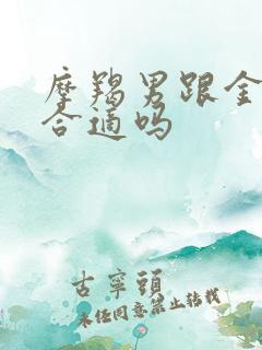 摩羯男跟金牛女合适吗