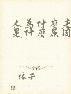 人为什么老上火是什么原因